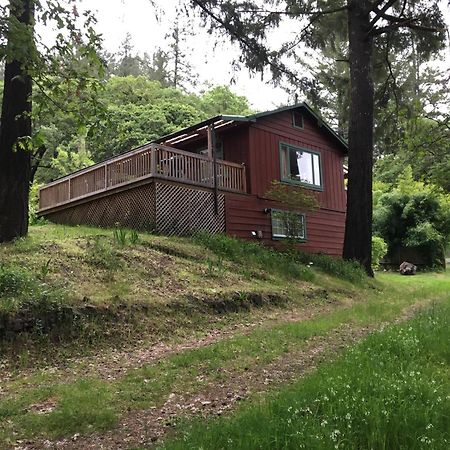 Avenue Of The Giants Caraway Cottage Miranda Buitenkant foto