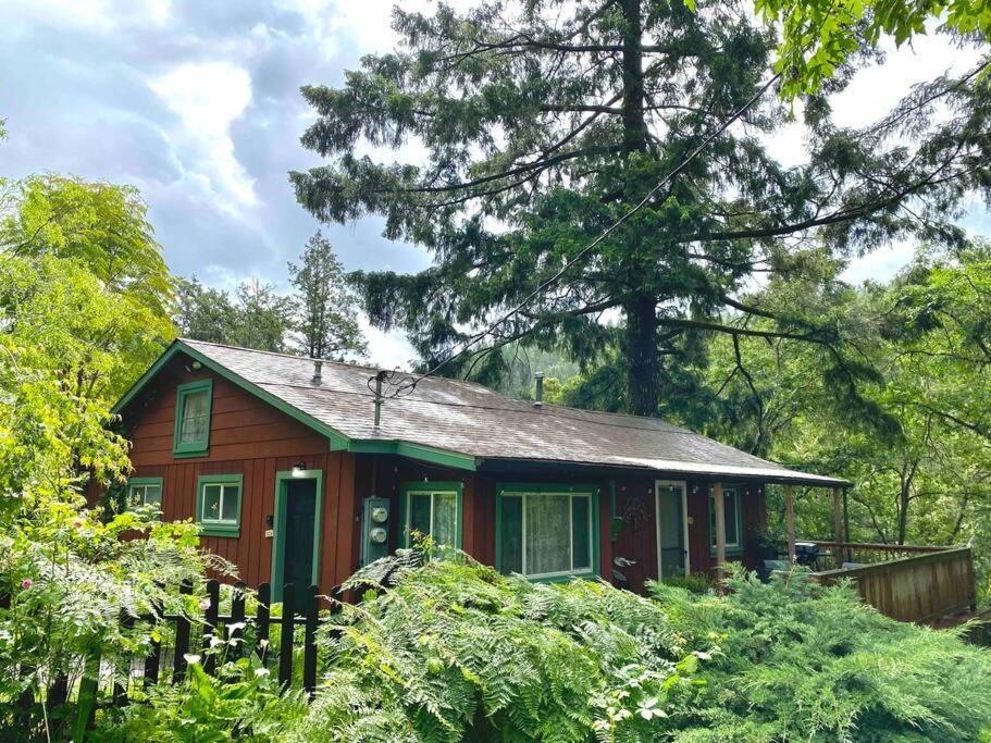 Avenue Of The Giants Caraway Cottage Miranda Buitenkant foto