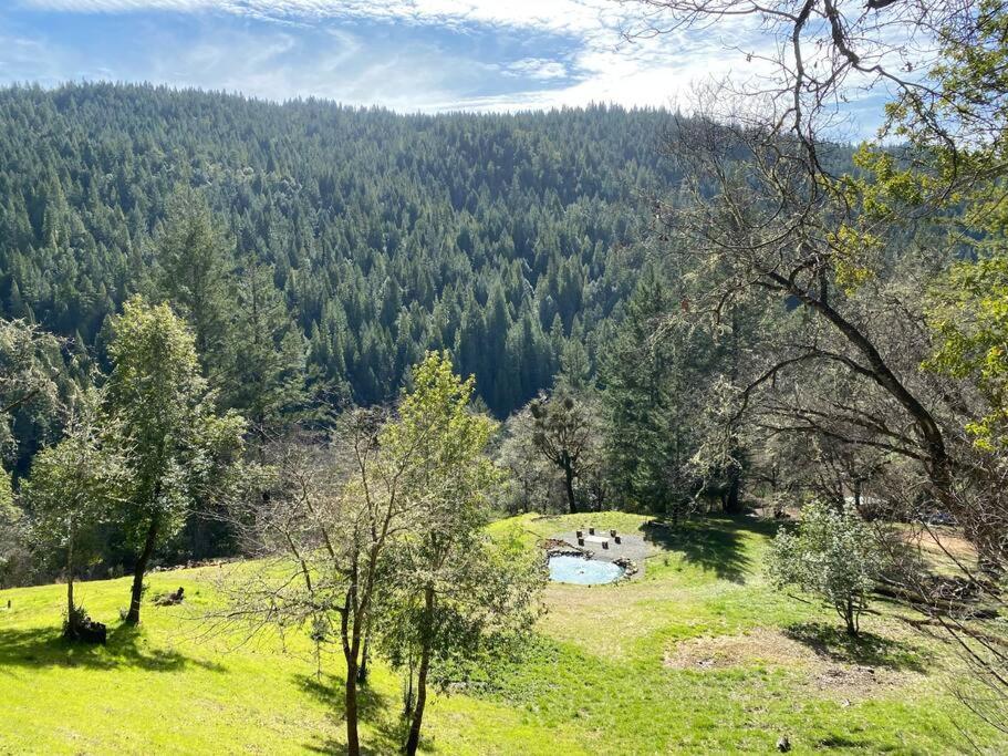 Avenue Of The Giants Caraway Cottage Miranda Buitenkant foto