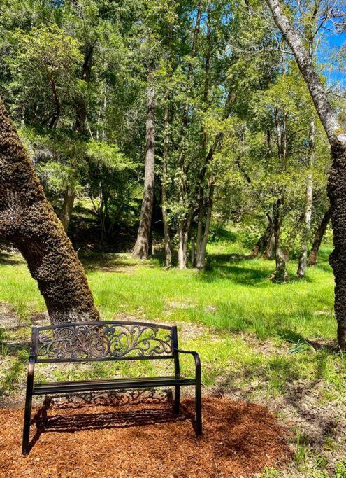 Avenue Of The Giants Caraway Cottage Miranda Buitenkant foto