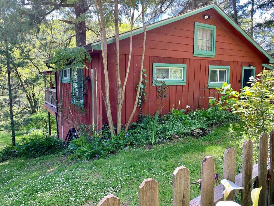 Avenue Of The Giants Caraway Cottage Miranda Buitenkant foto