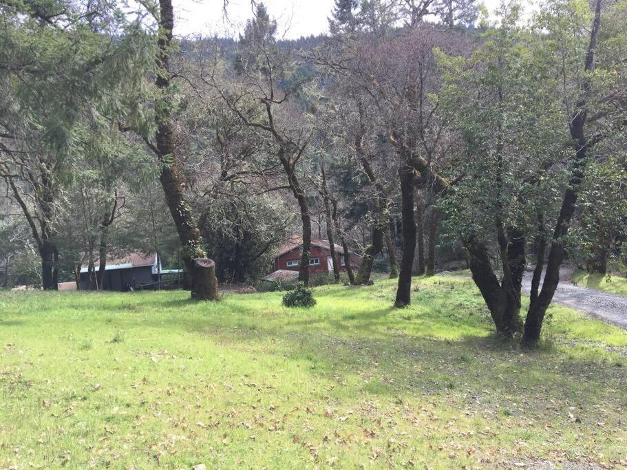Avenue Of The Giants Caraway Cottage Miranda Buitenkant foto